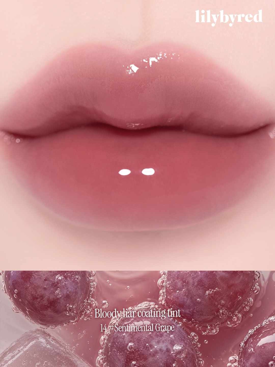 lilybyred_official 品牌动态