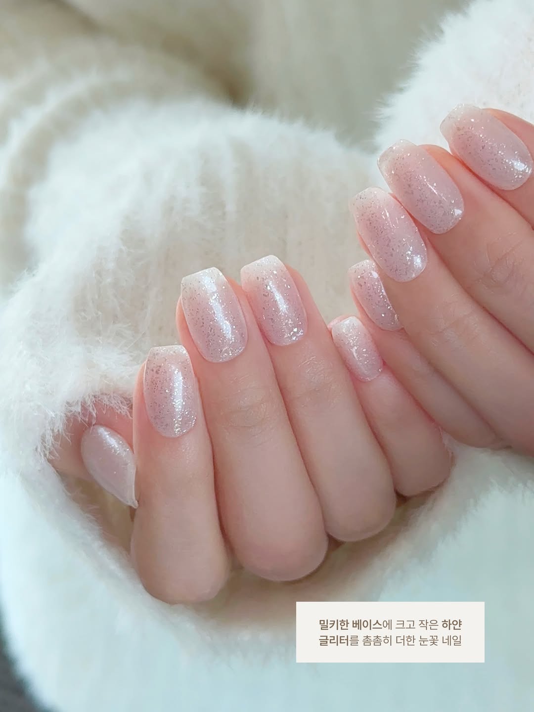 ohora_kr 品牌动态图片