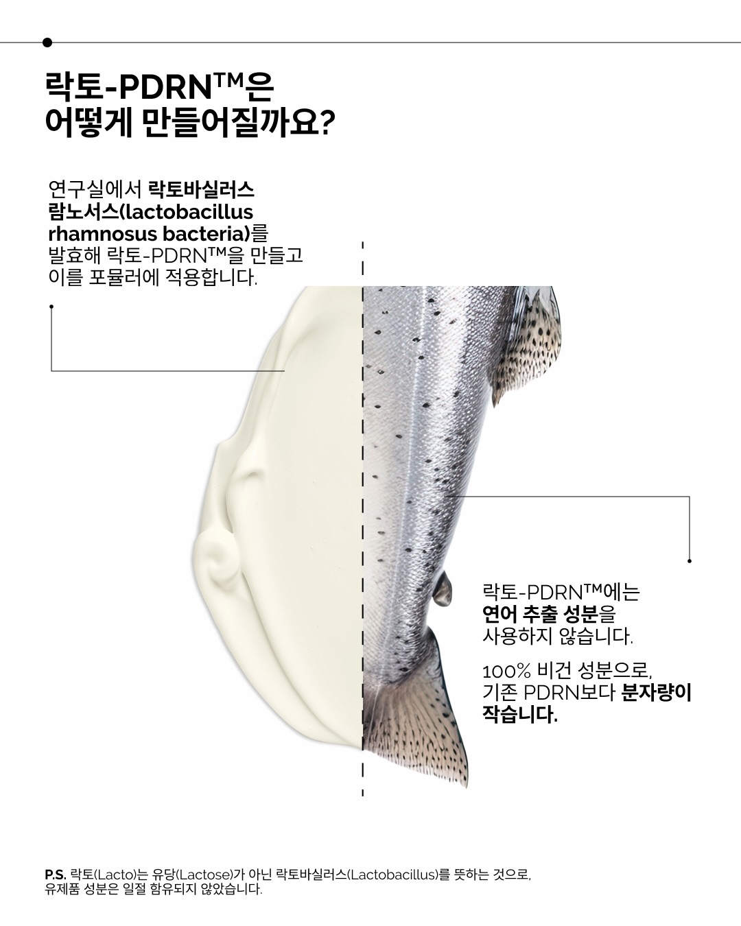 theordinarykorea 品牌动态图片