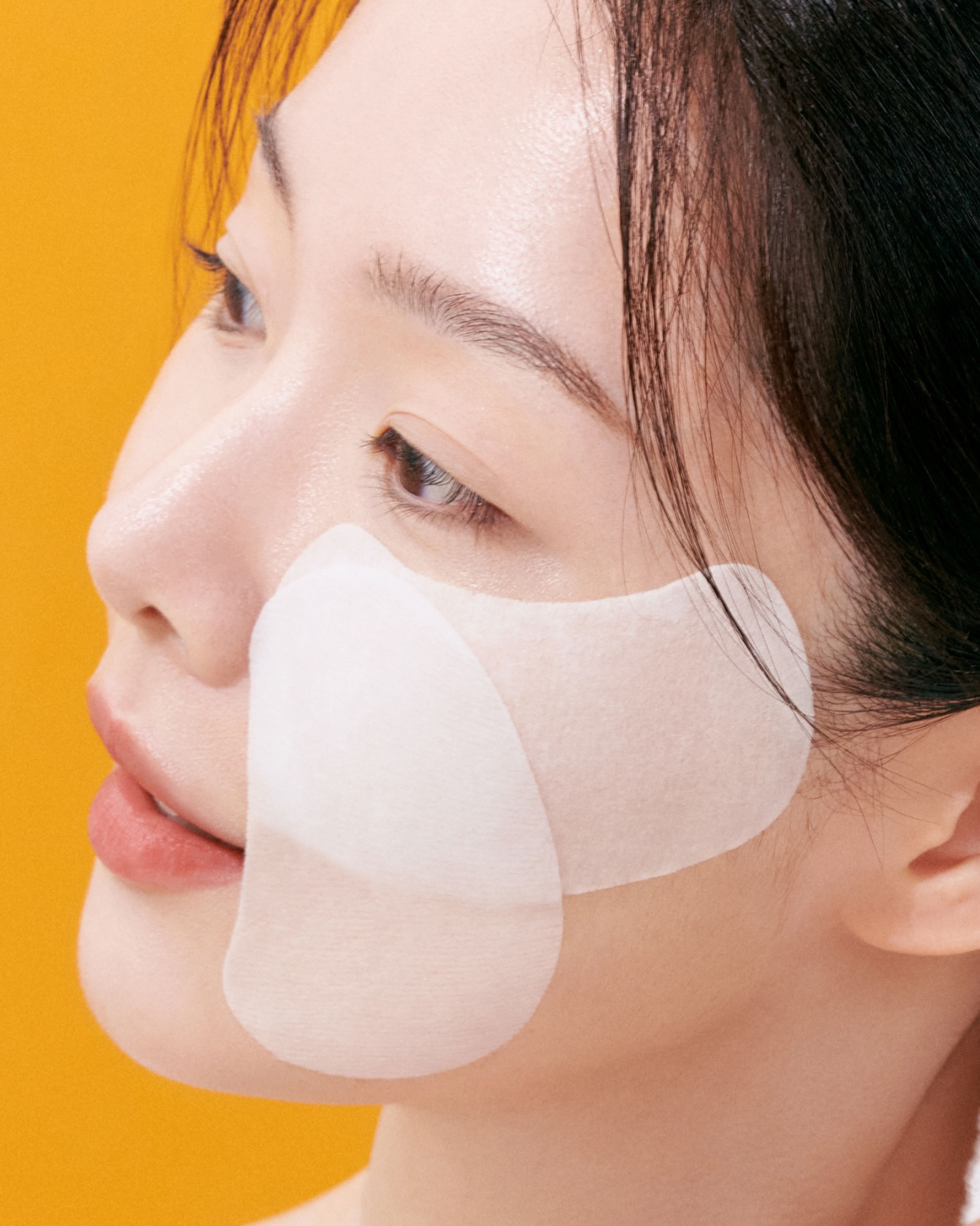 celimax.global 品牌动态