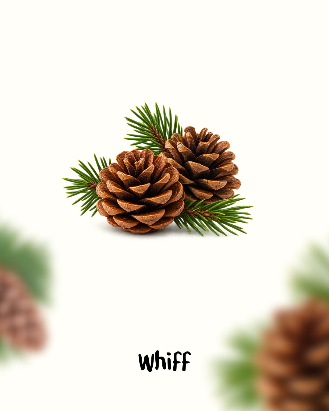 whiff.korea 品牌动态