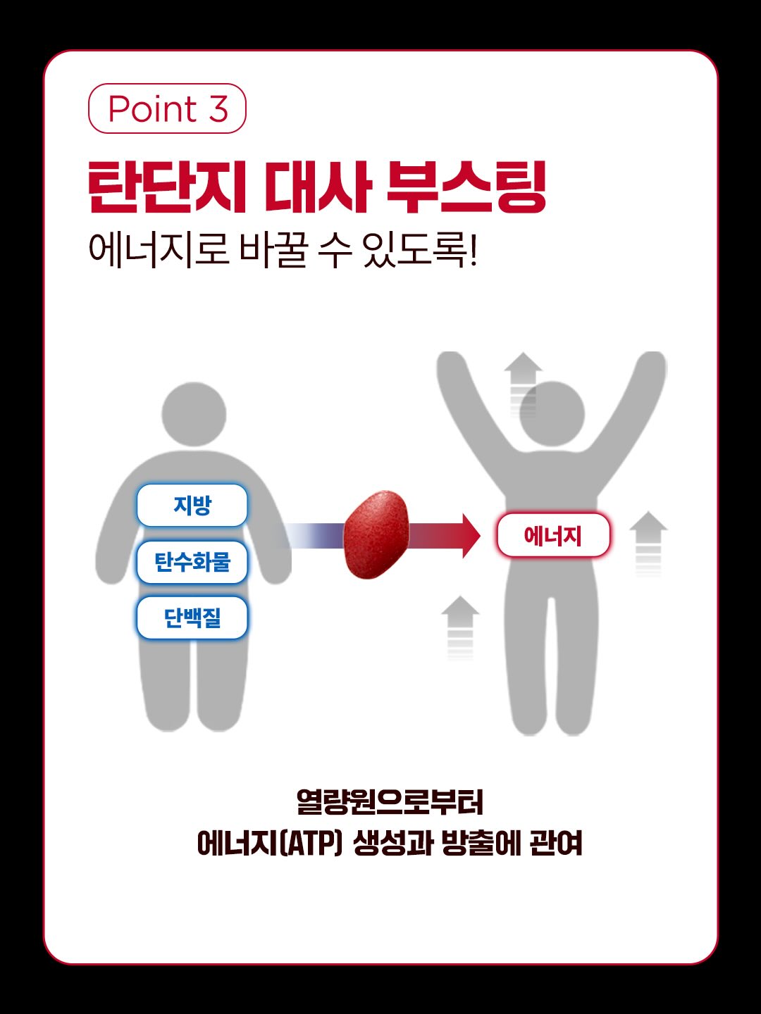 innerlab.official 品牌动态图片