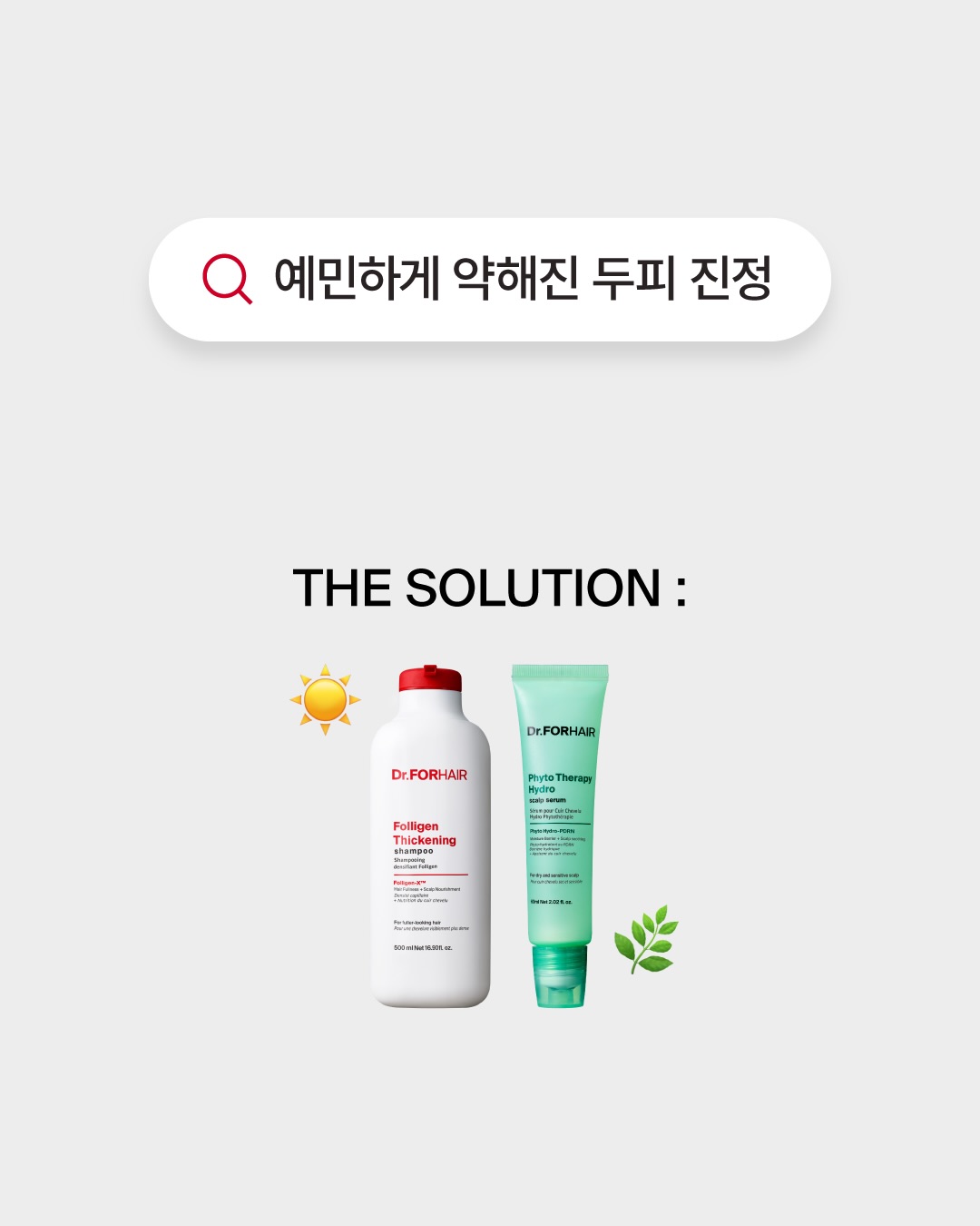 drforhair.kr 品牌动态图片