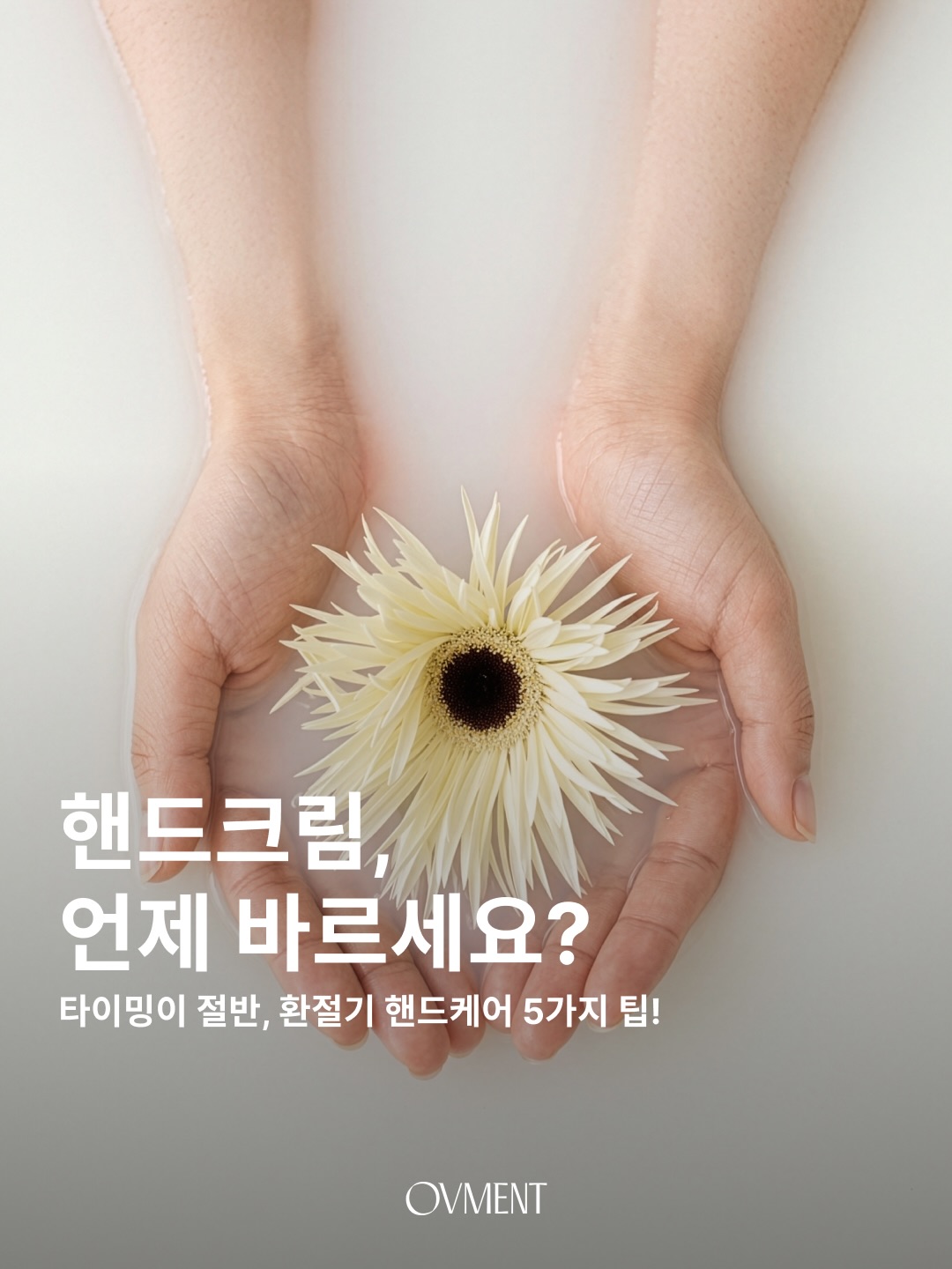 ovment.official 品牌动态图片