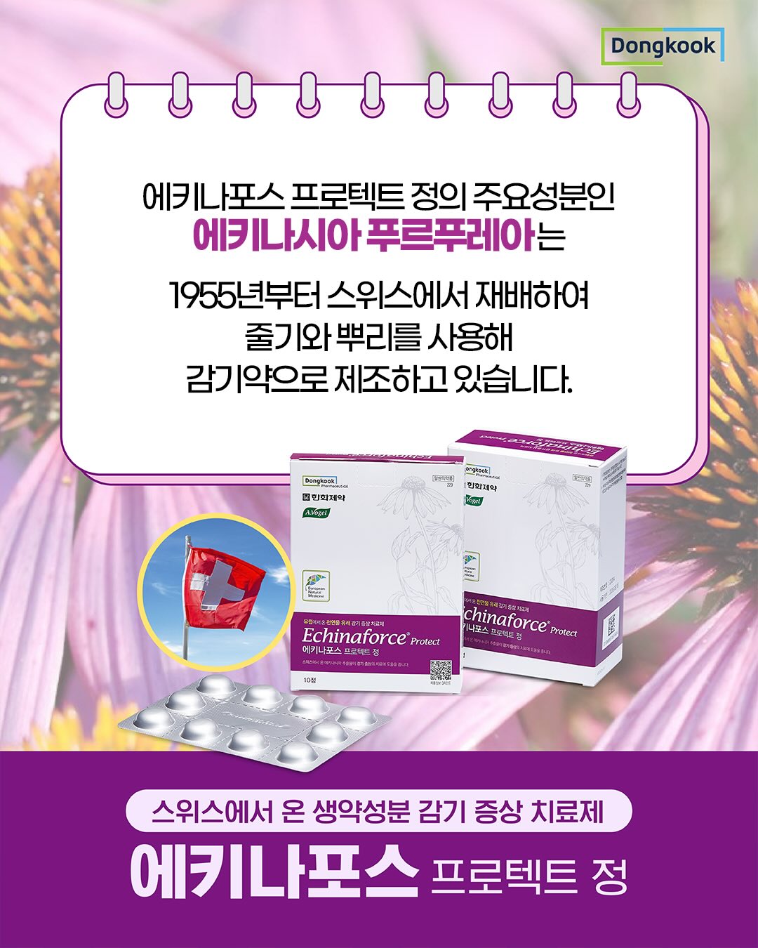 dongkook_official 品牌动态图片