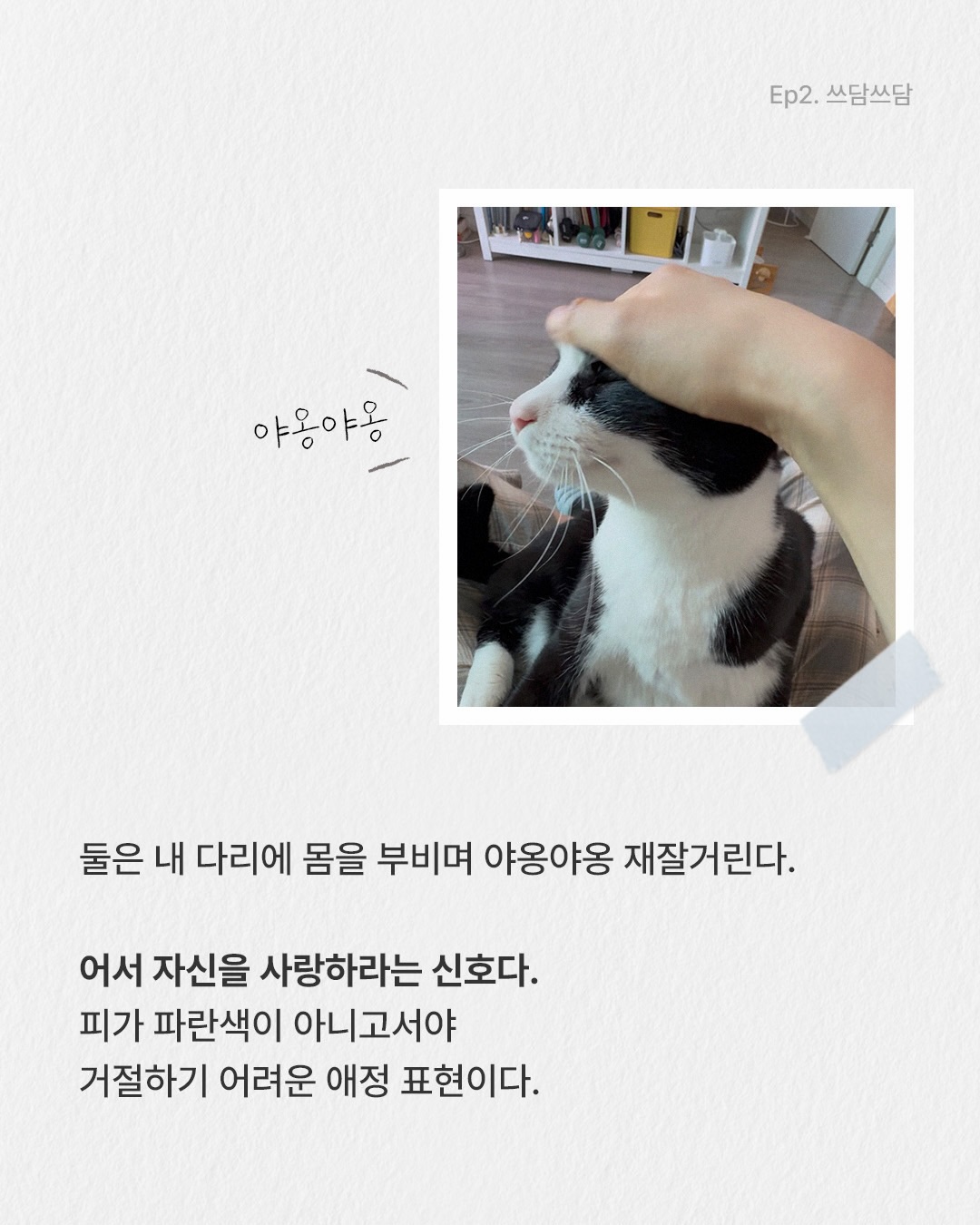 brka.official 品牌动态图片