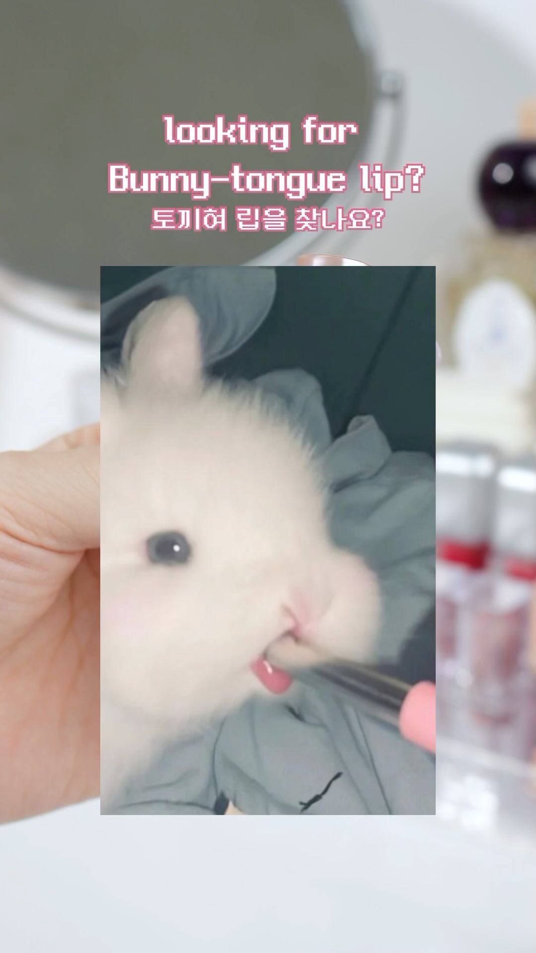 allmythings_official 品牌动态