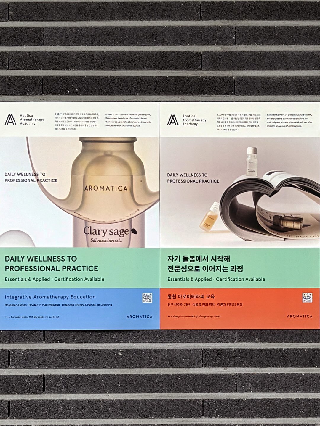 aromatica.life 品牌动态图片