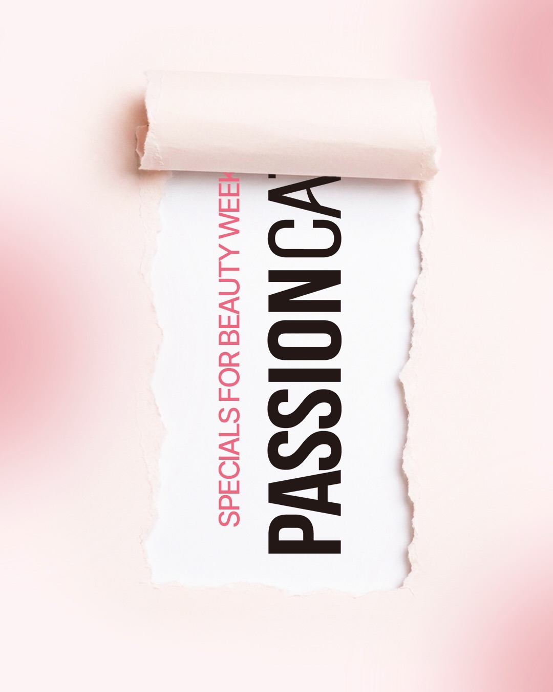 passioncat_official 品牌动态图片