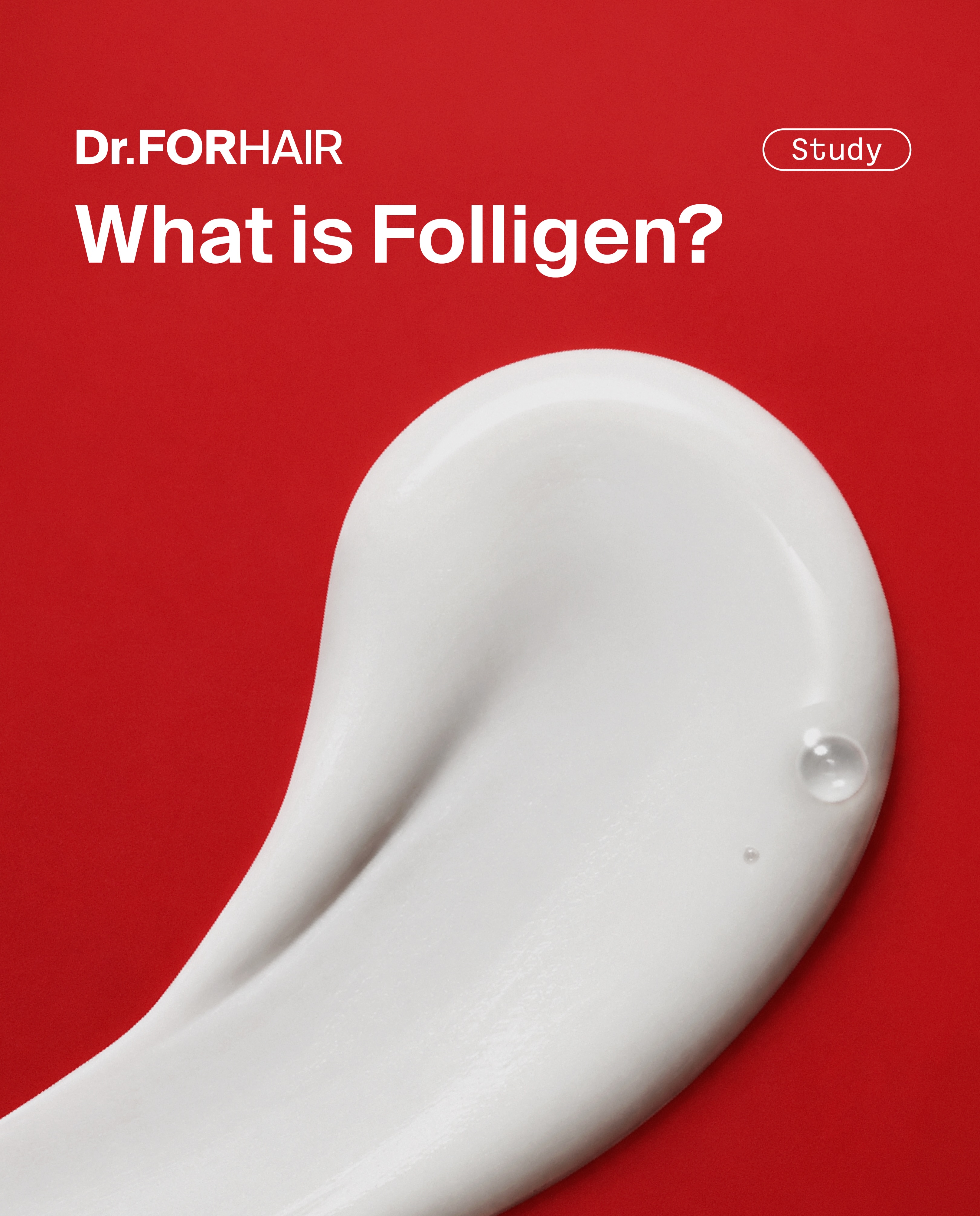 drforhair.kr 品牌动态图片