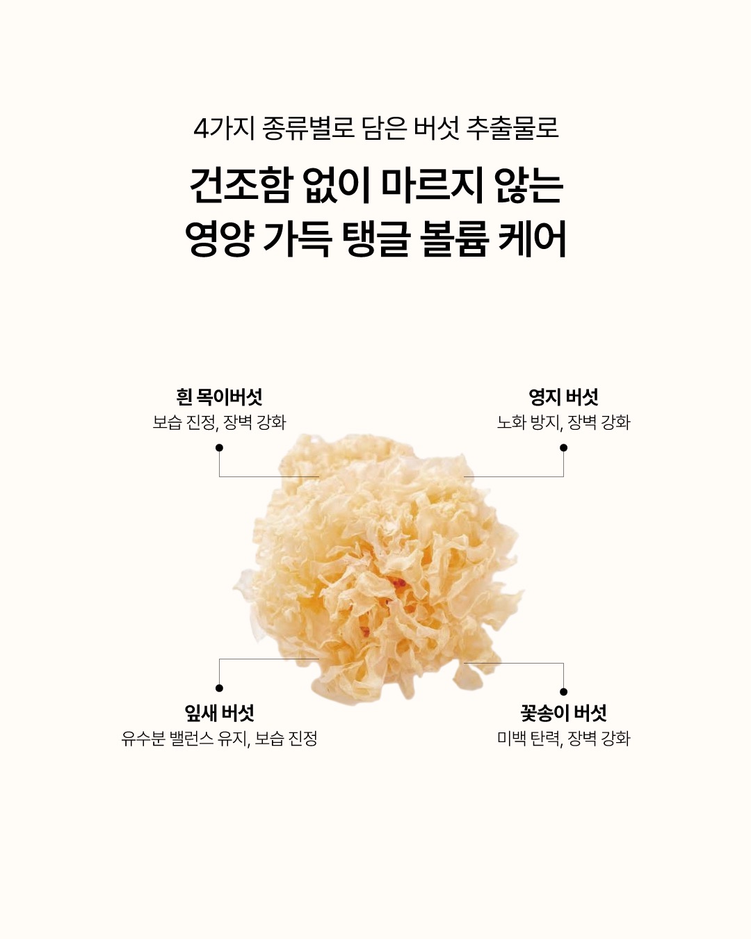 sunnicorn_official 品牌动态图片