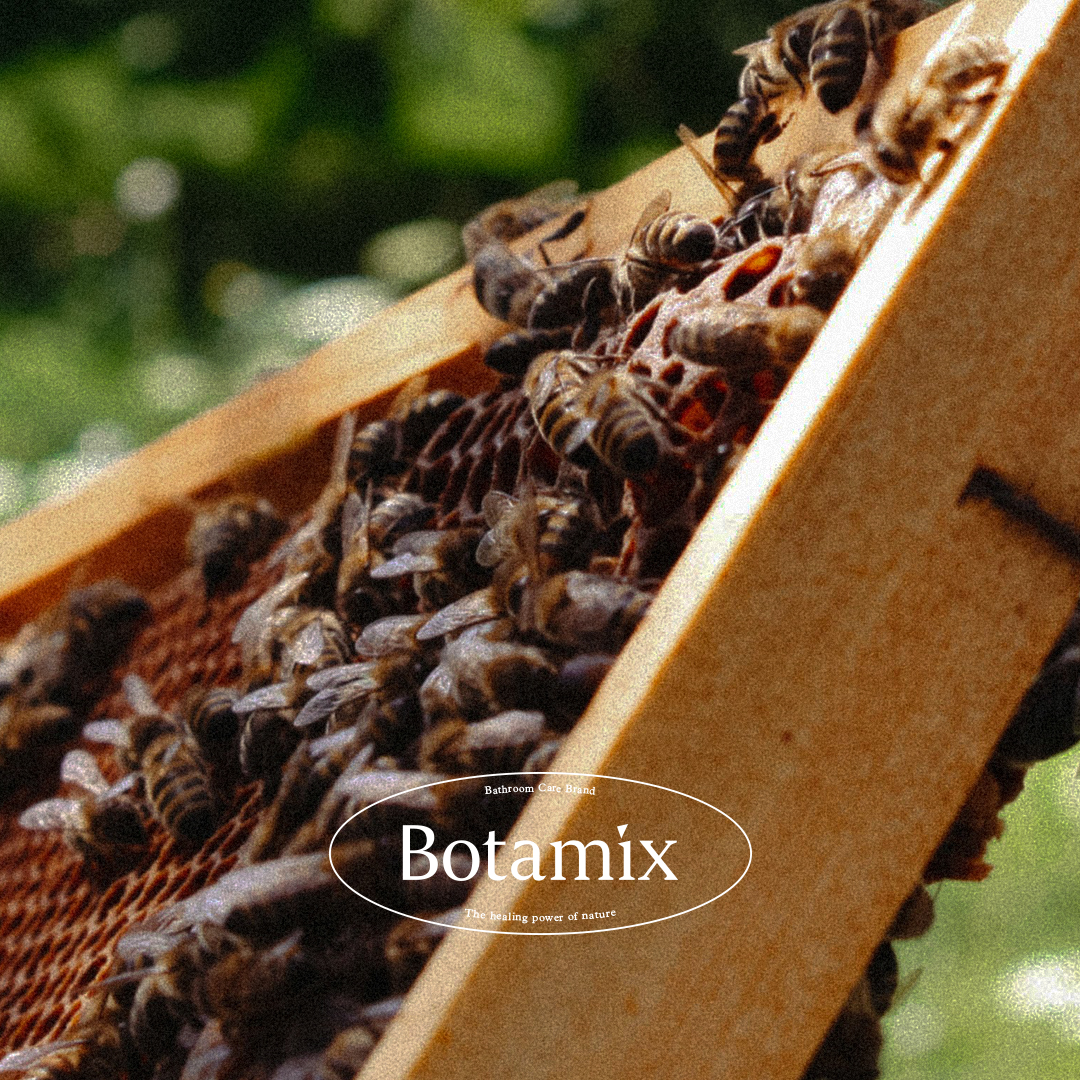 botamix_official 品牌动态