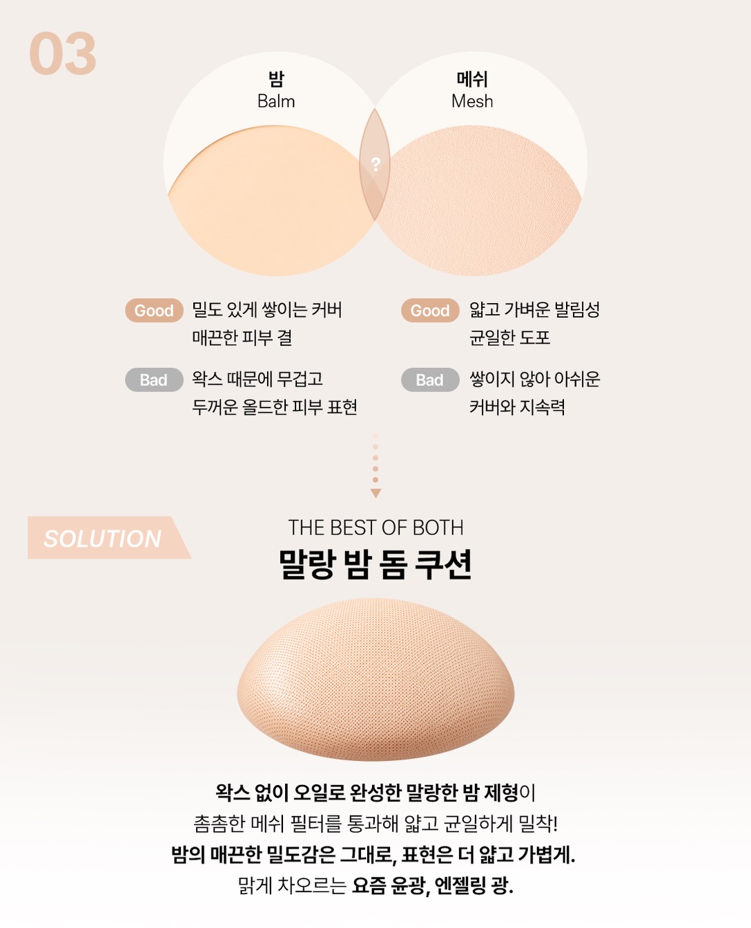 amuse 品牌动态图片