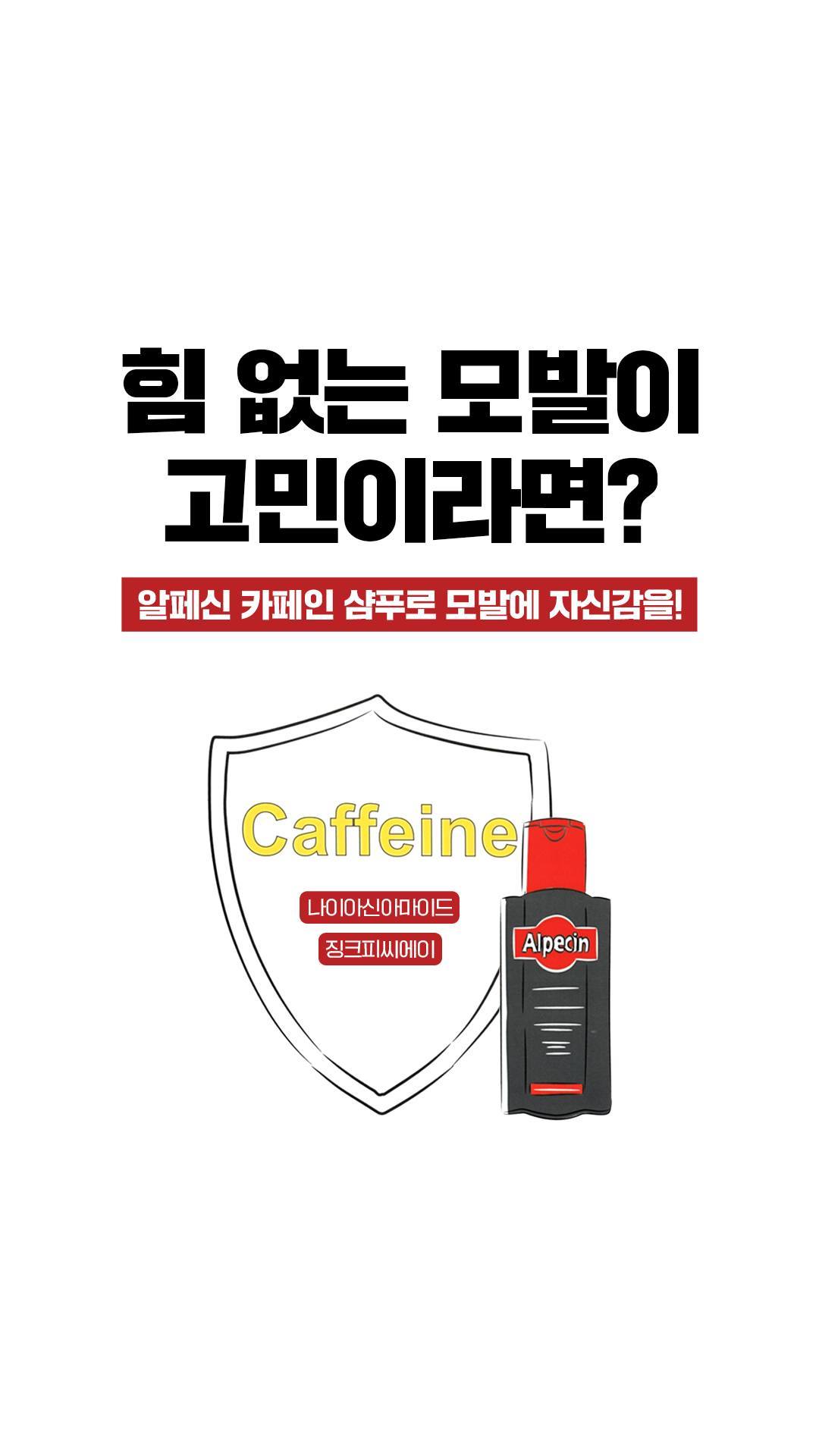 alpecin_korea 品牌动态