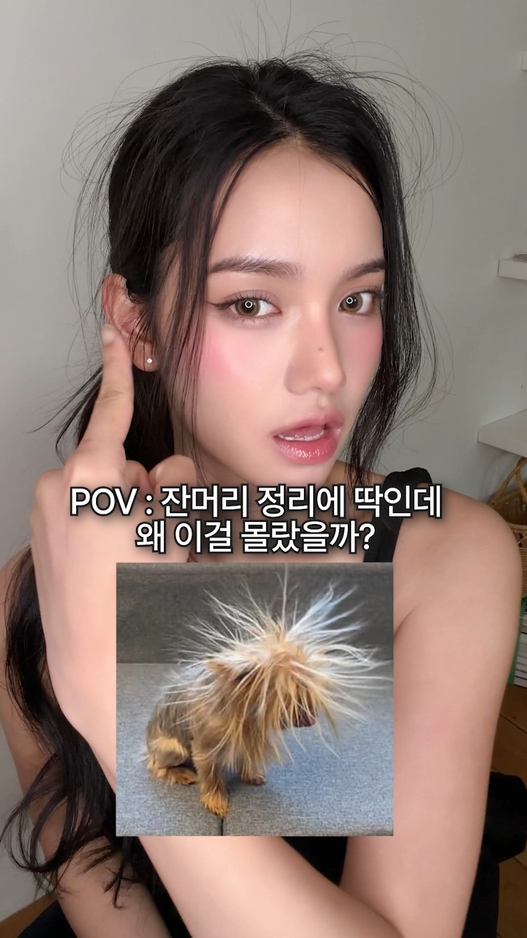 daleaf_korea 品牌动态