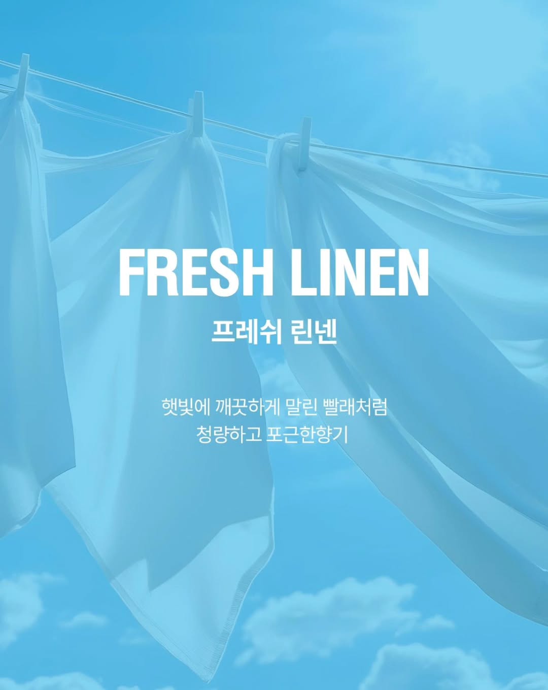 a.scent_official 品牌动态图片