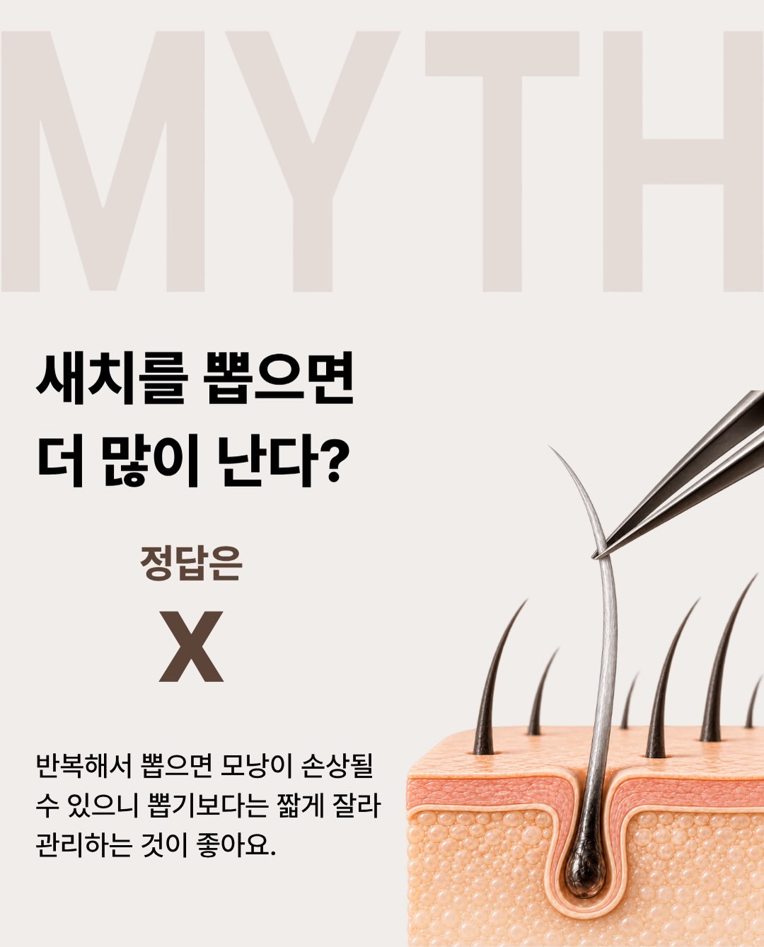 modamoda_hair 品牌动态图片