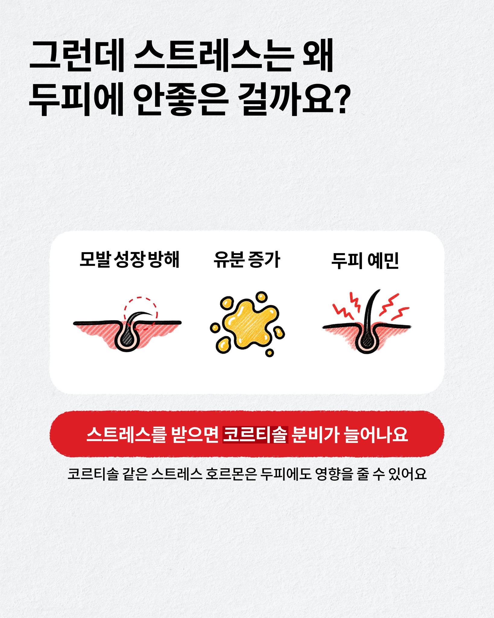 drforhair.kr 品牌动态图片