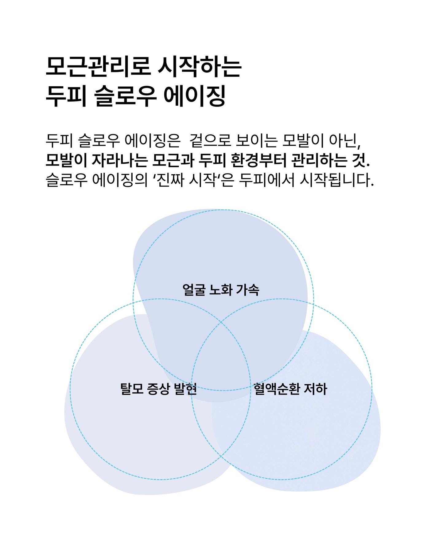 nesh.kr 品牌动态图片