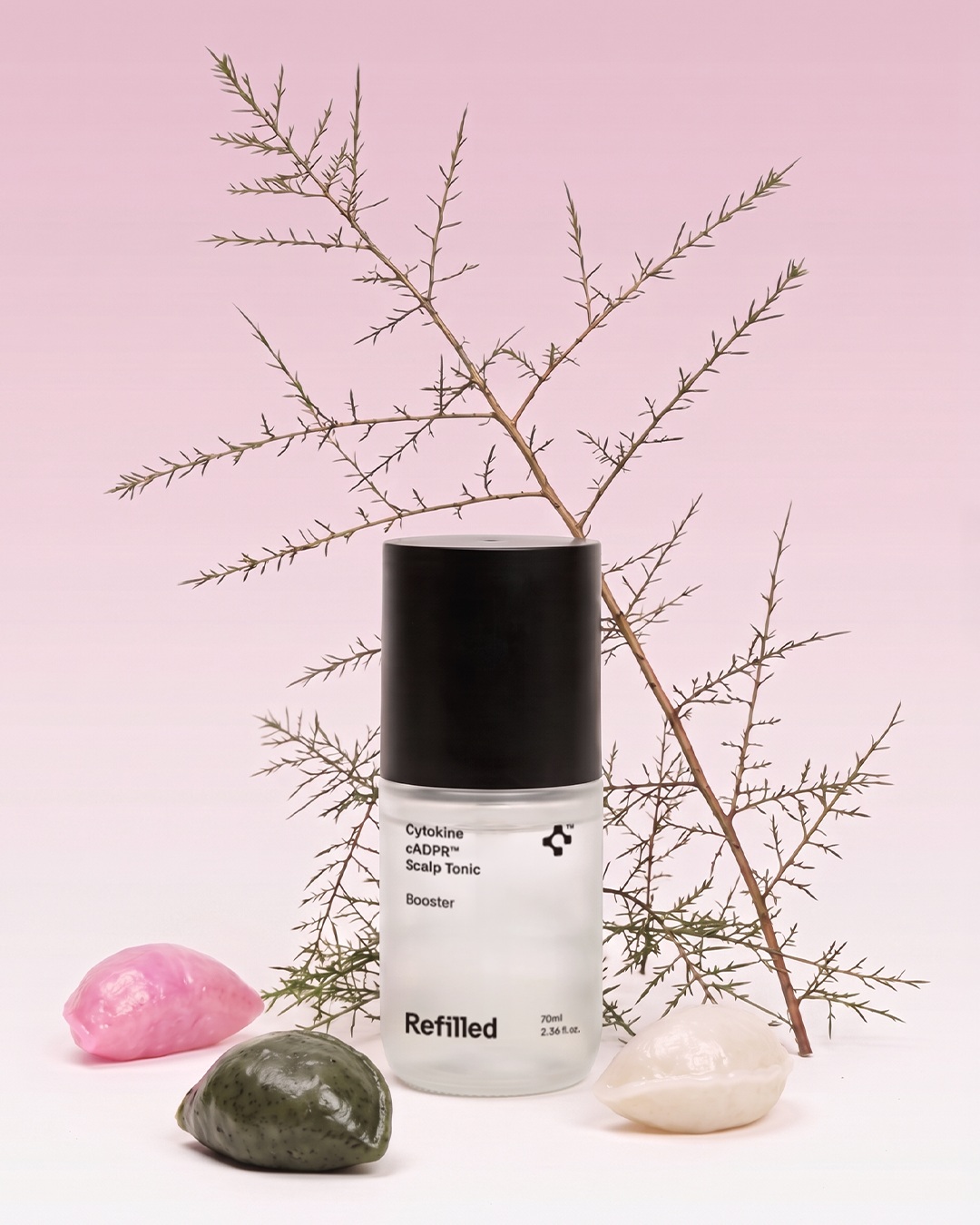 refilled_official 品牌动态
