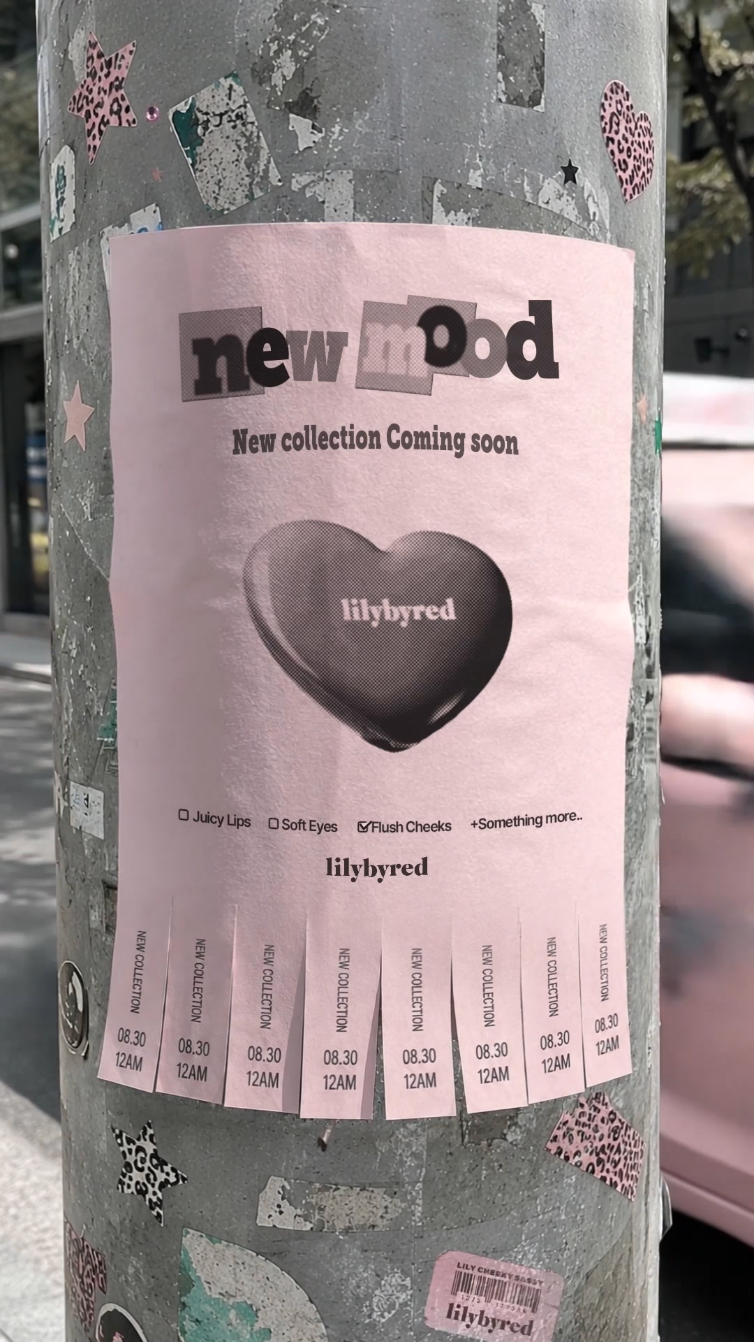 lilybyred_official 品牌动态