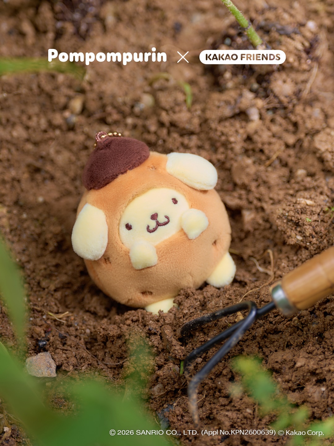 kakaofriends_official 品牌动态图片