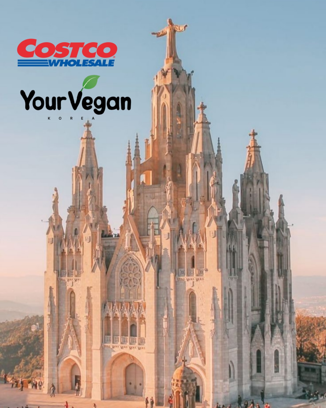 yourvegan.official 品牌动态图片
