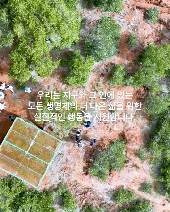 larosee_korea 视频封面
