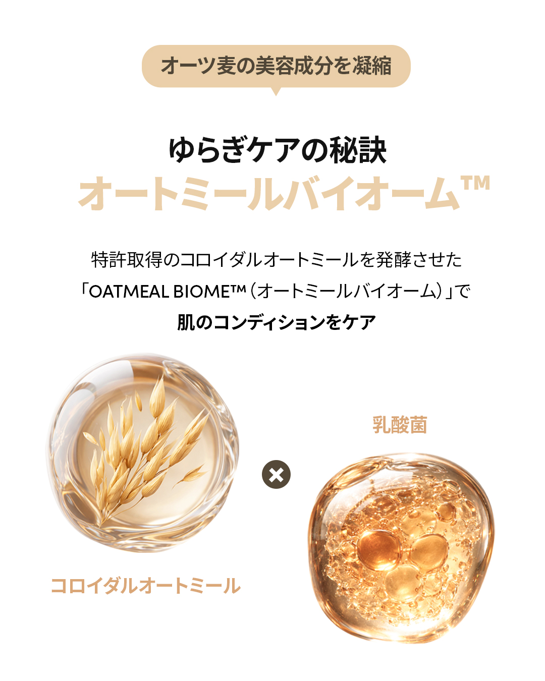 lagom_tokyo 品牌动态图片