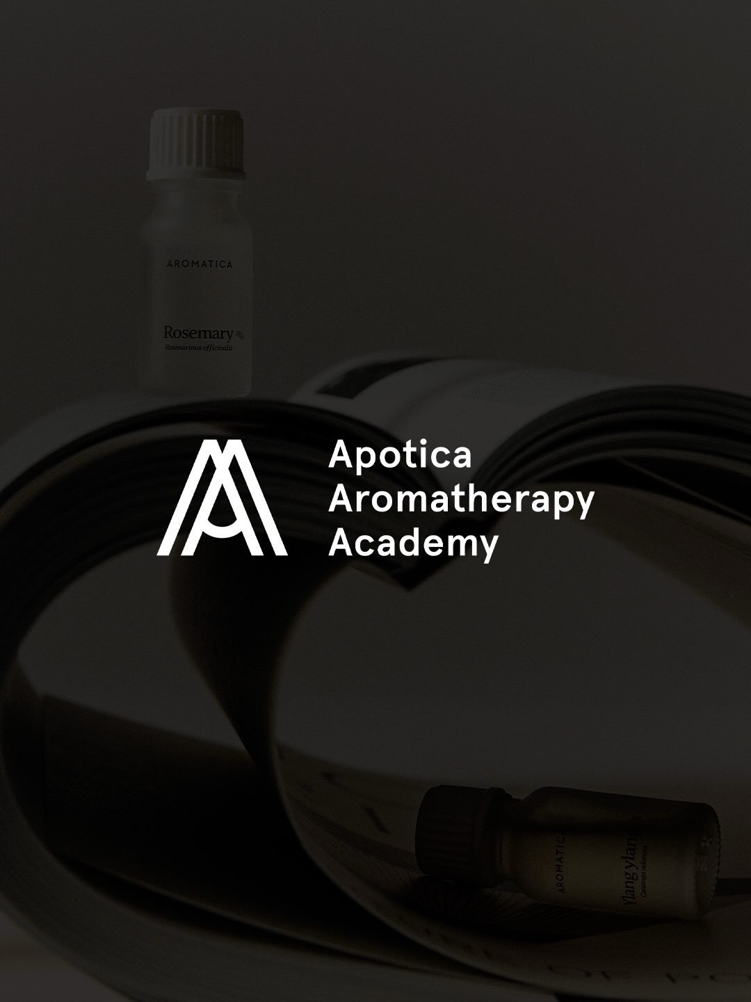 aromatica.life 品牌动态图片