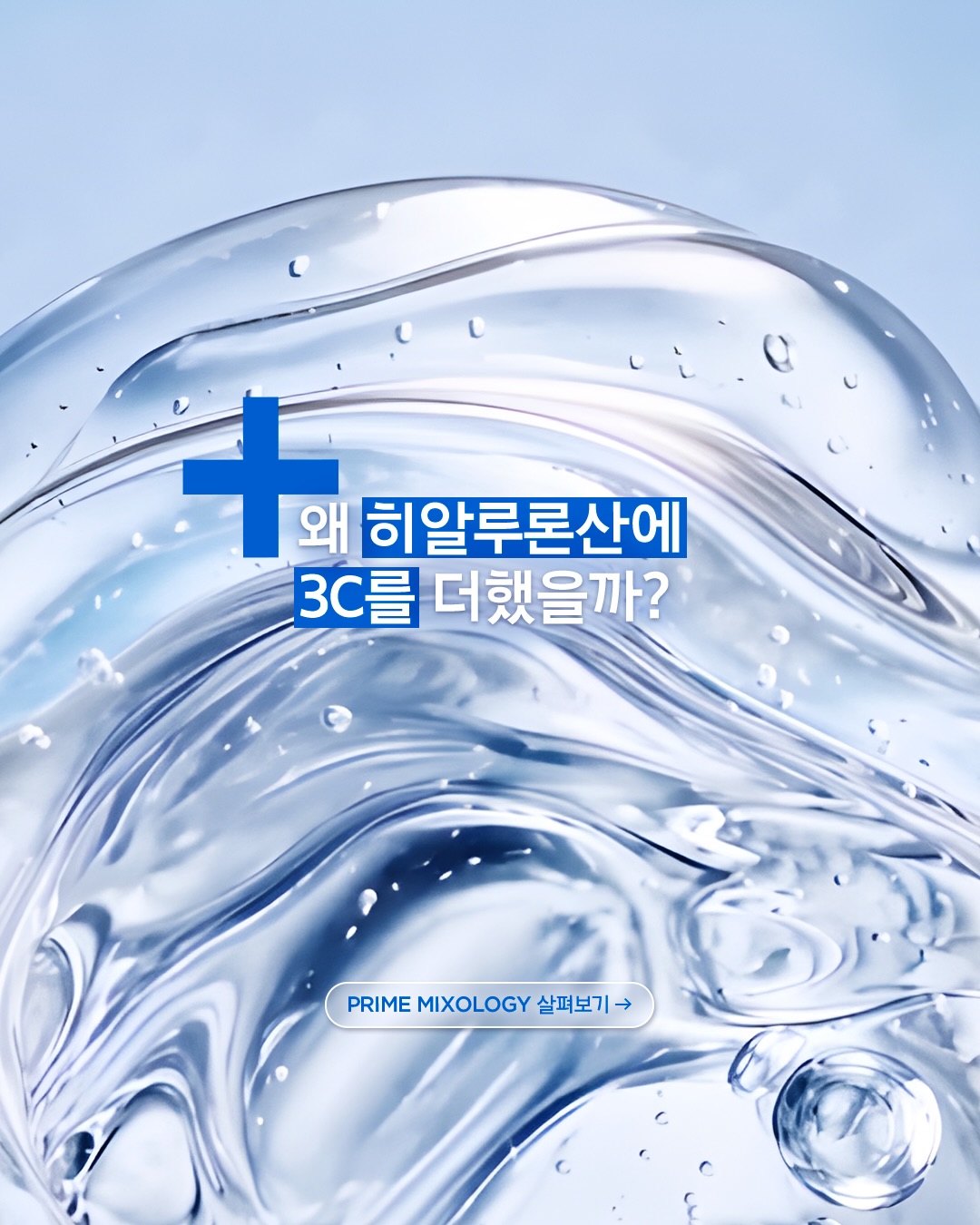 primera.official 品牌动态