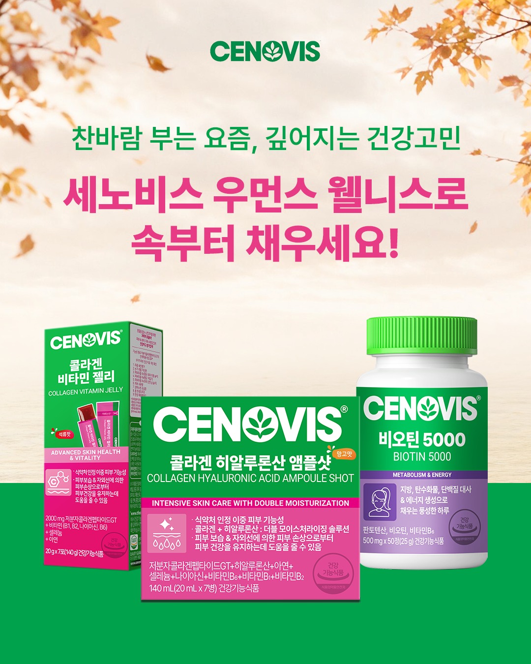 cenovis_official 品牌动态