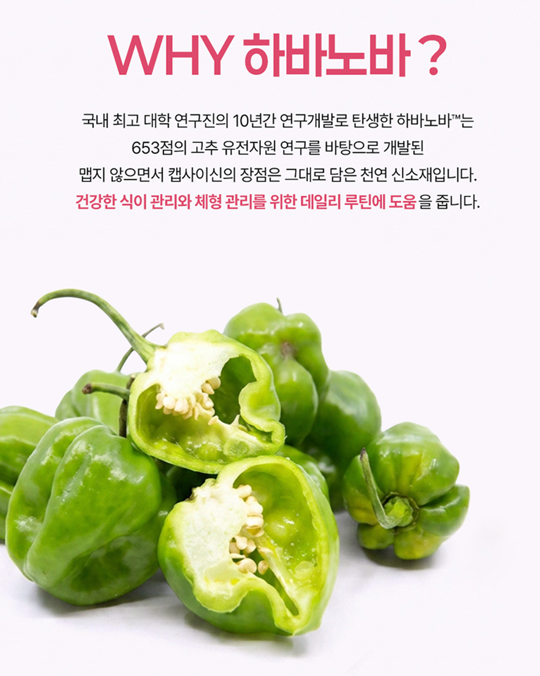 needin_official 品牌动态图片