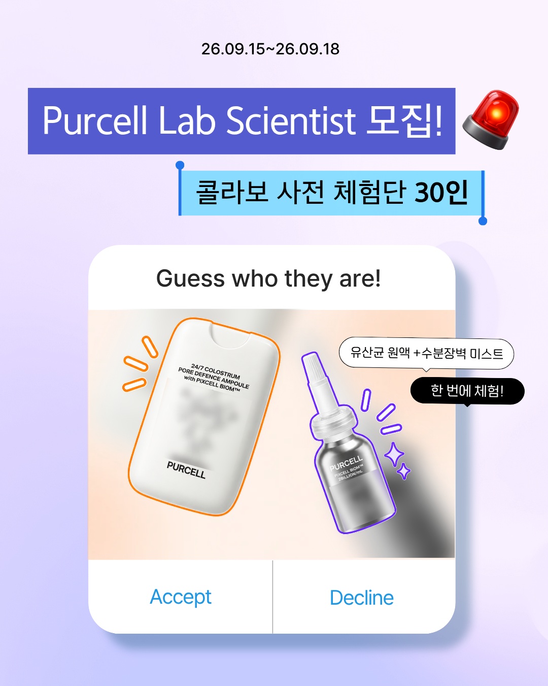 purcell.seoul 品牌动态
