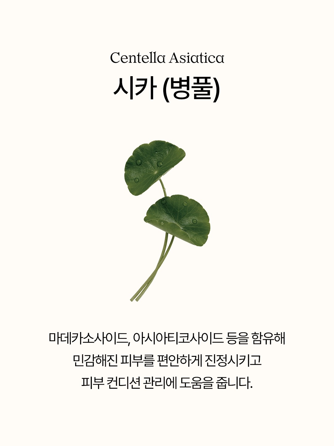 ndpskin.official 品牌动态图片