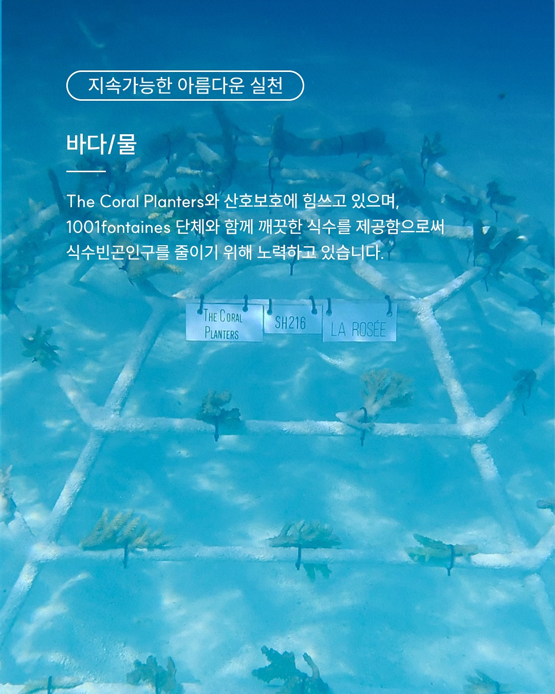 larosee_korea 品牌动态图片