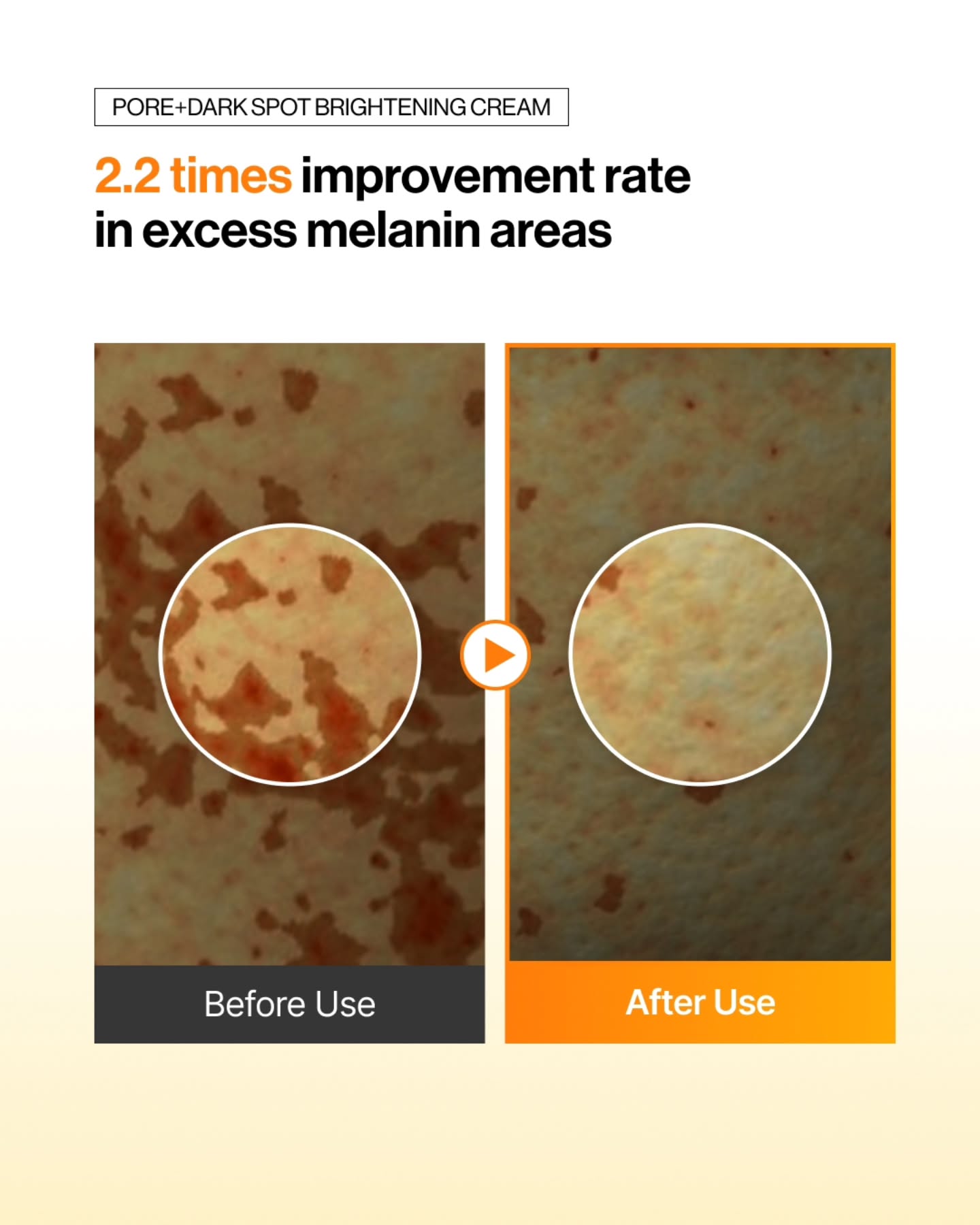 celimax.global 品牌动态图片