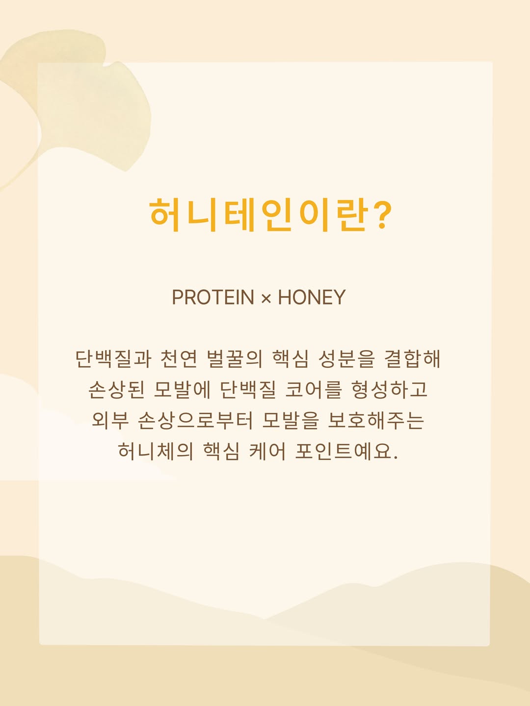 honeyce8_kr 品牌动态图片