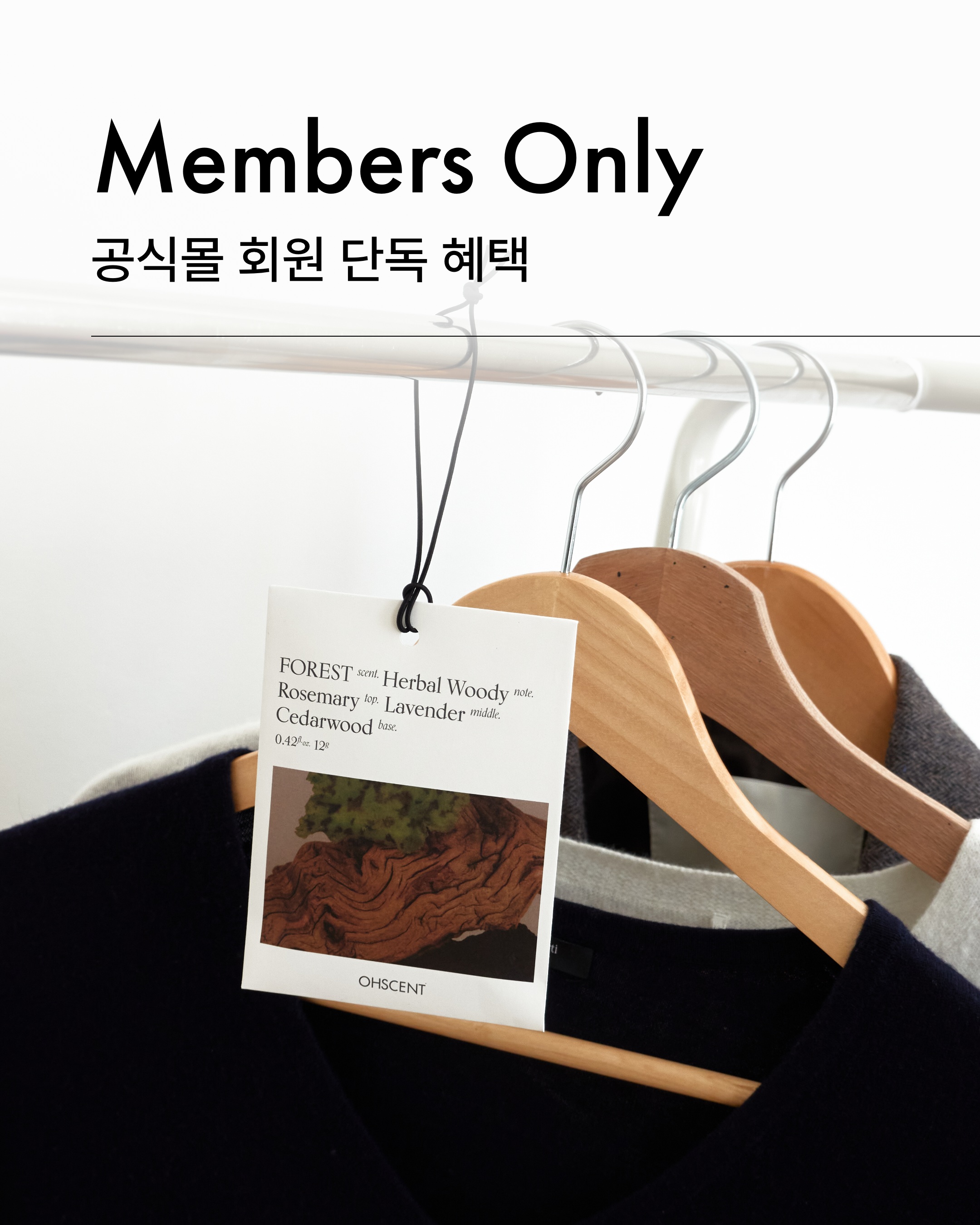 ohscent 品牌动态图片
