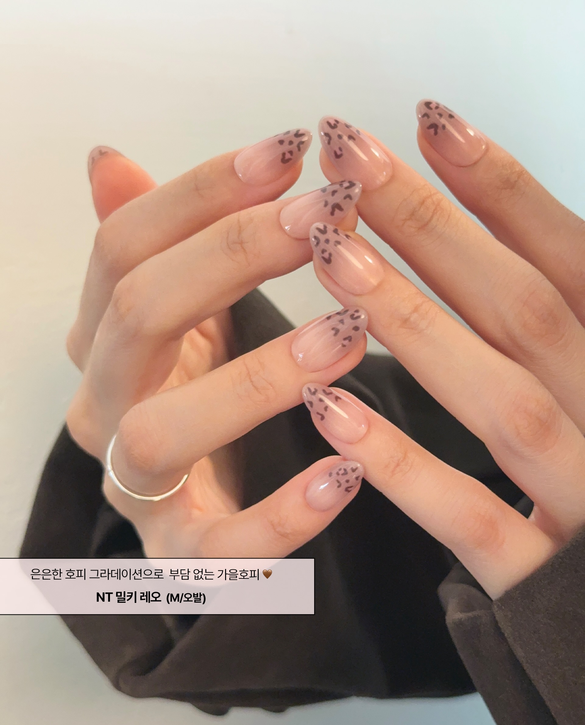 ohora_kr 品牌动态图片