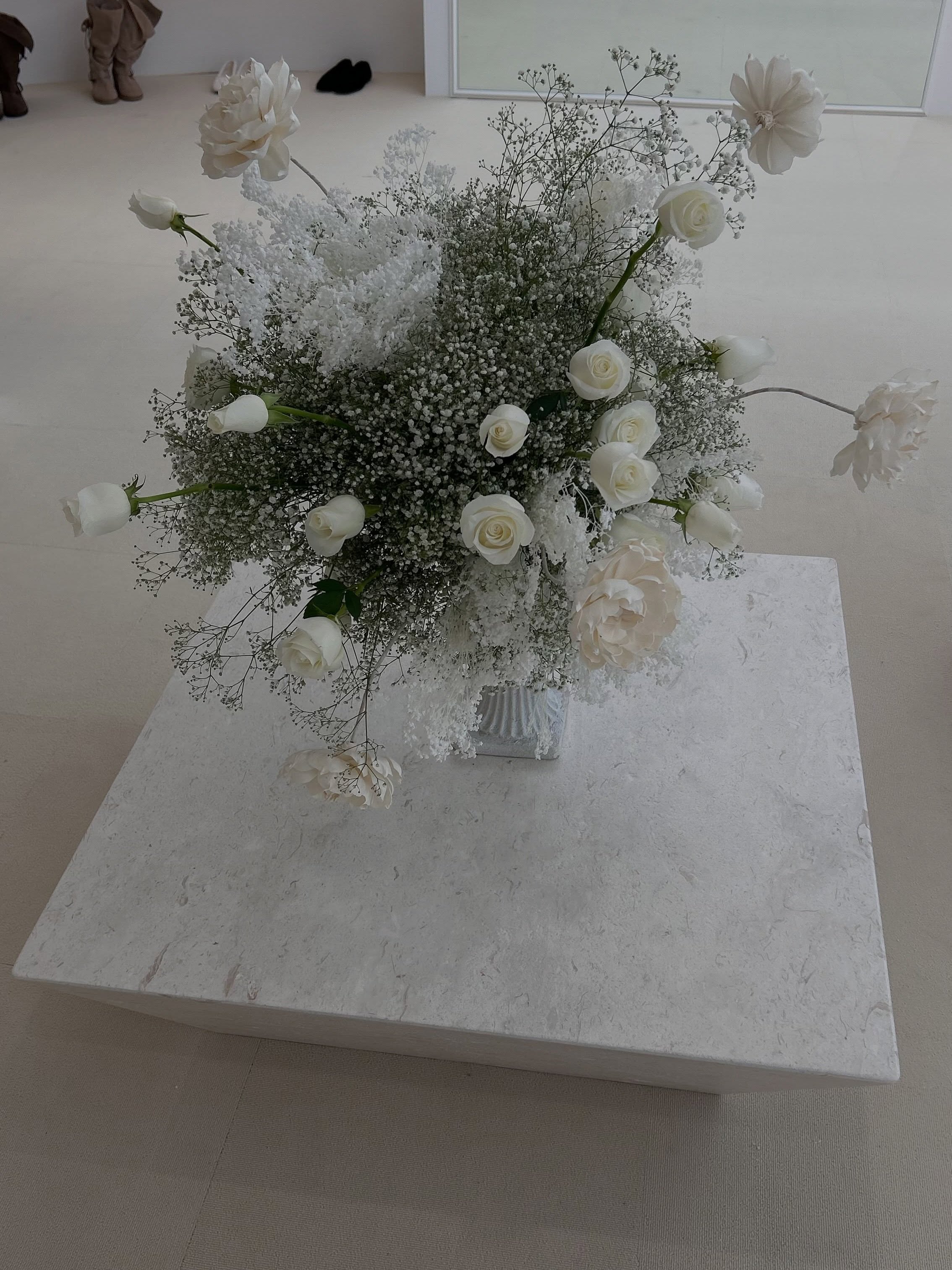 thetis.kr 品牌动态图片