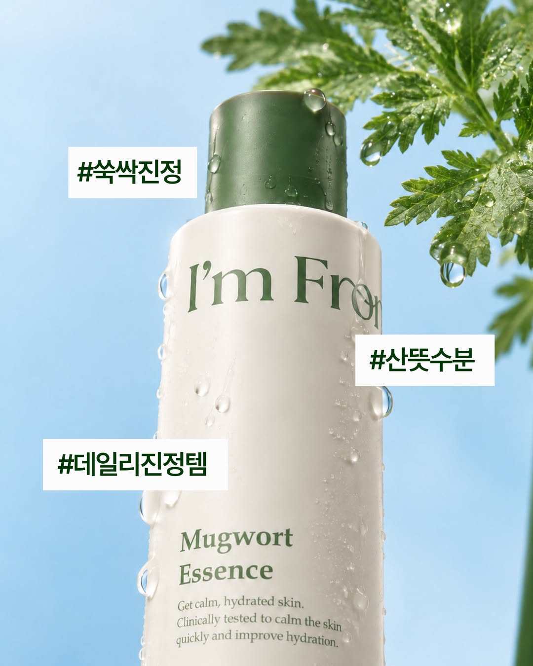 imfrom_official 品牌动态