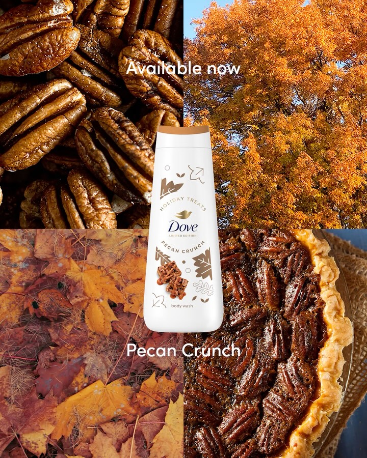 dove 视频封面