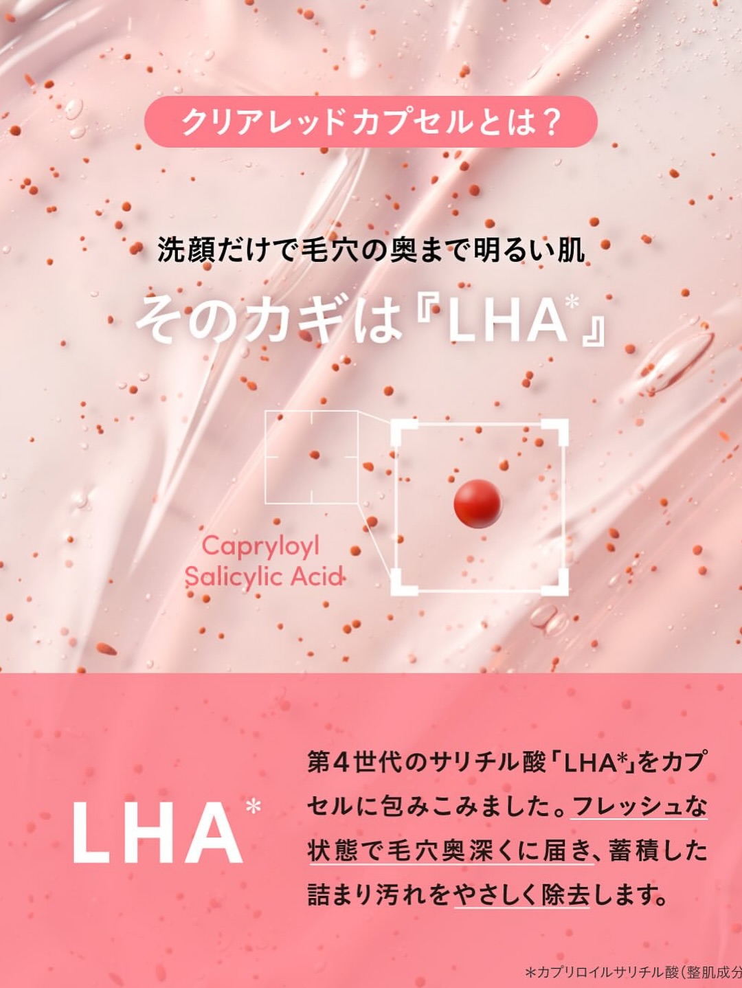 lagom_tokyo 品牌动态图片