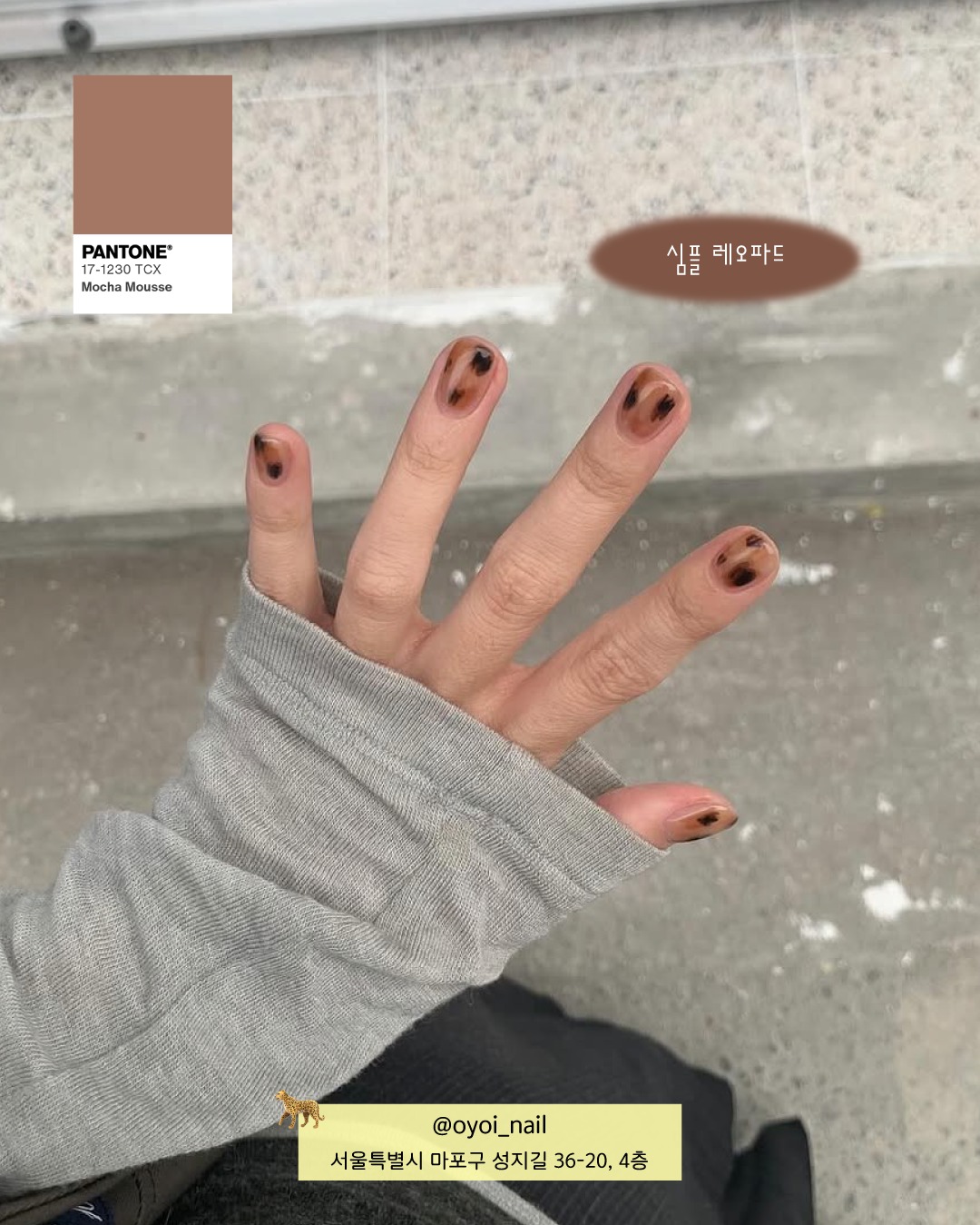 oliveyoung_magazine 品牌动态图片