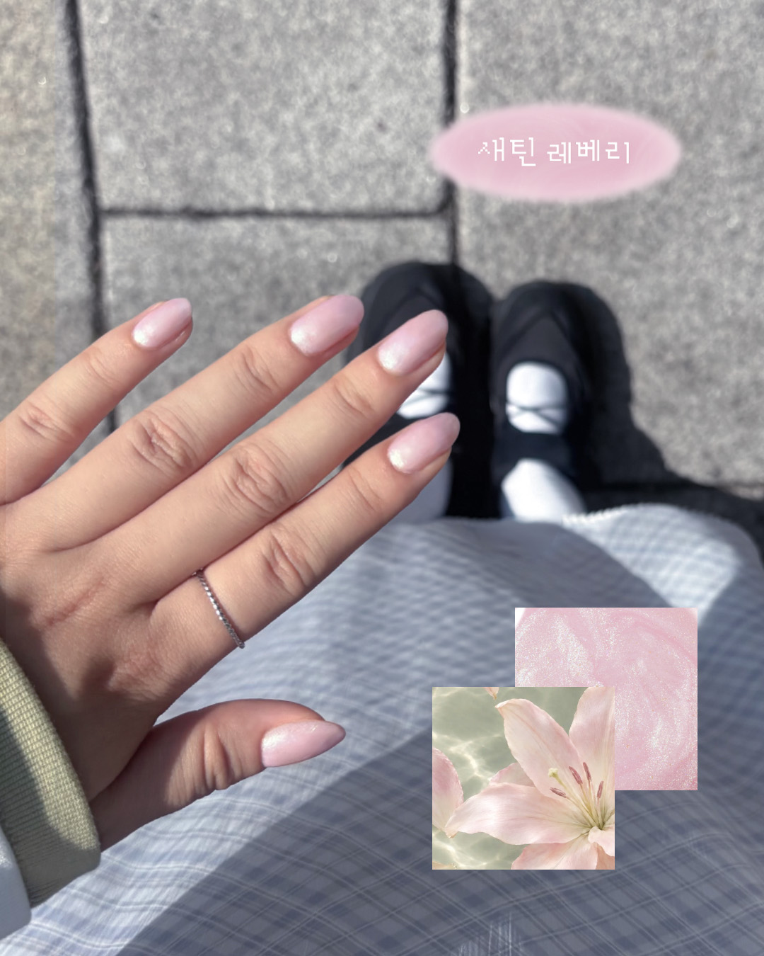 ollio.official 品牌动态图片