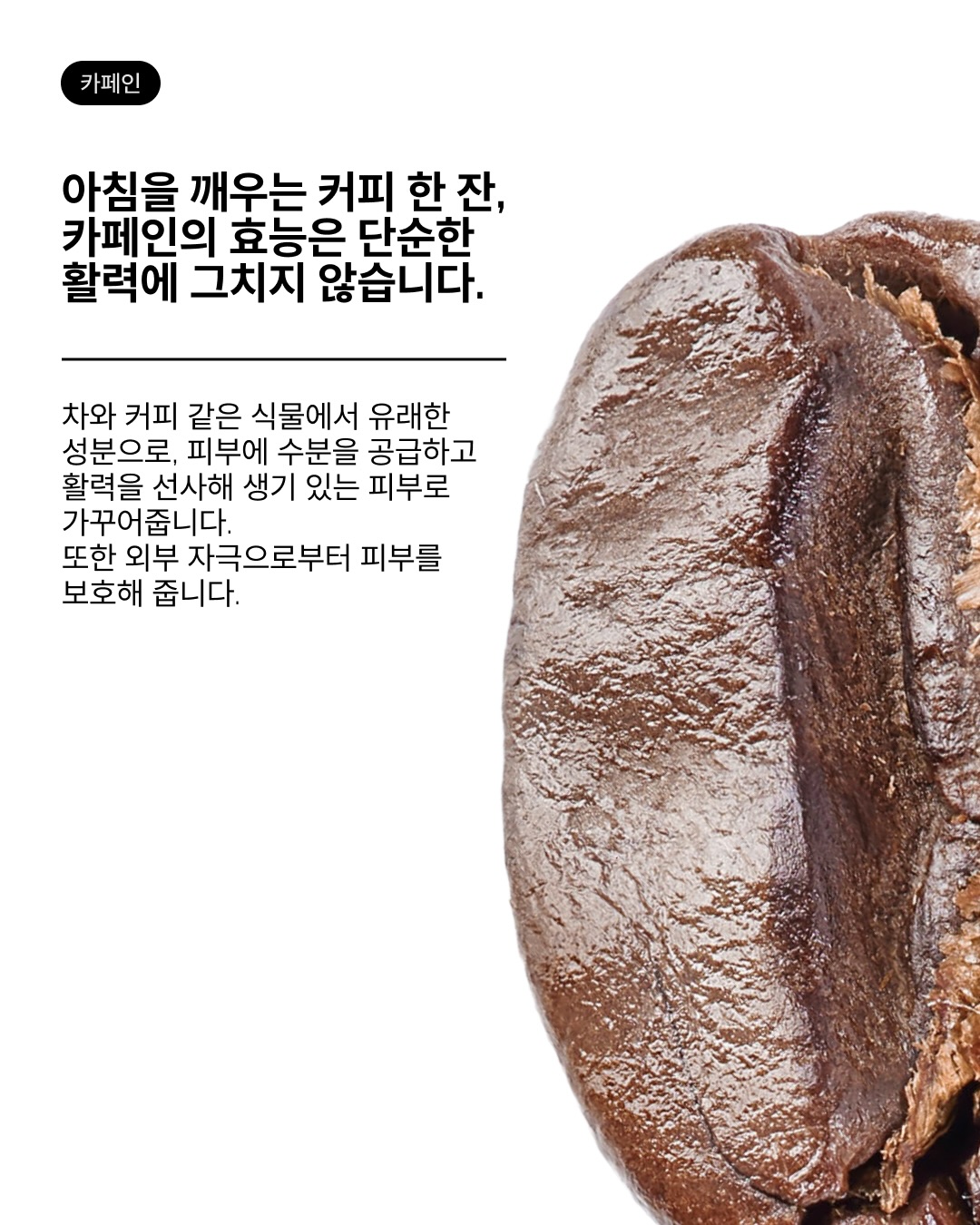 theordinarykorea 品牌动态图片
