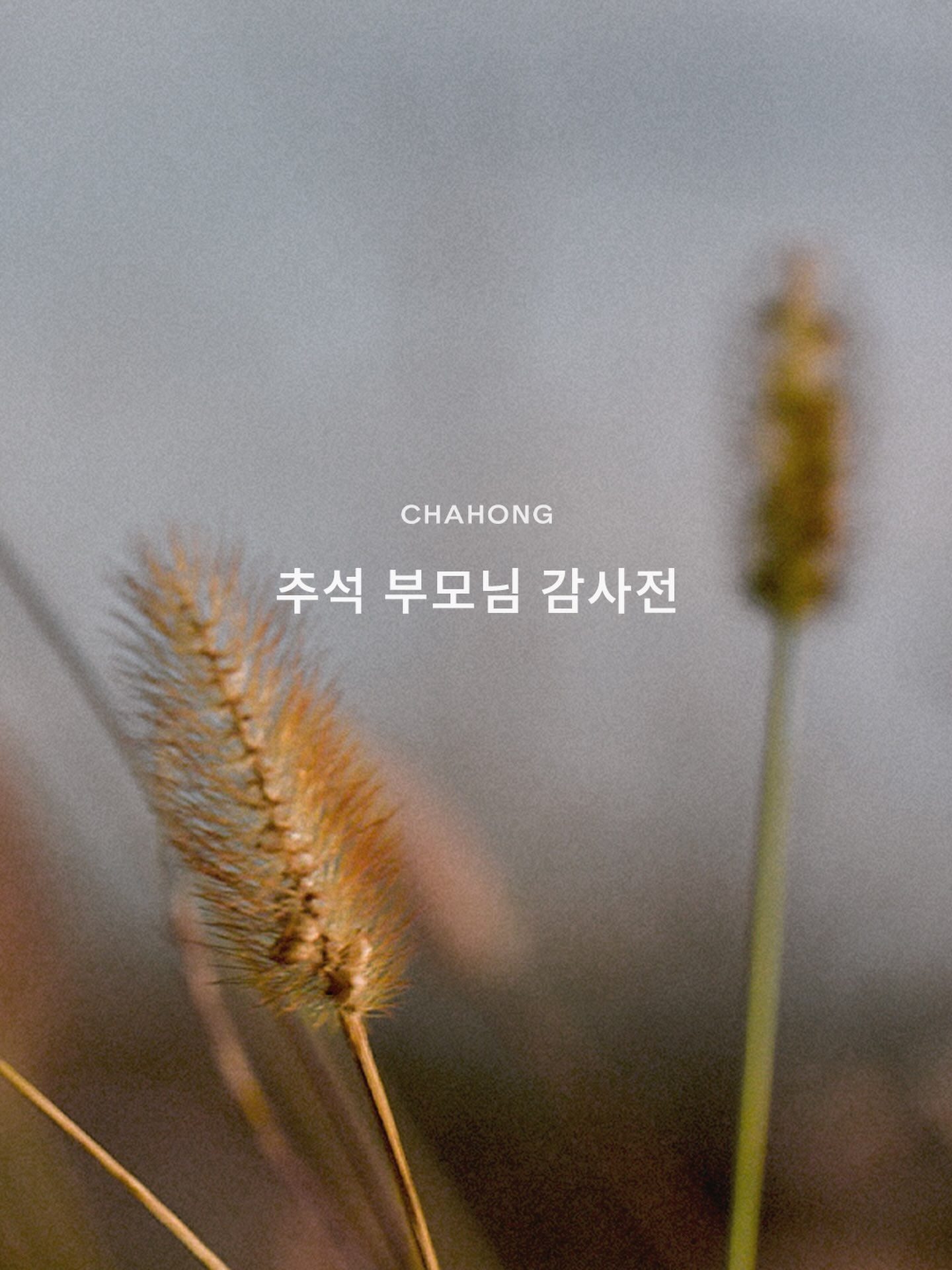 chahong.official 品牌动态