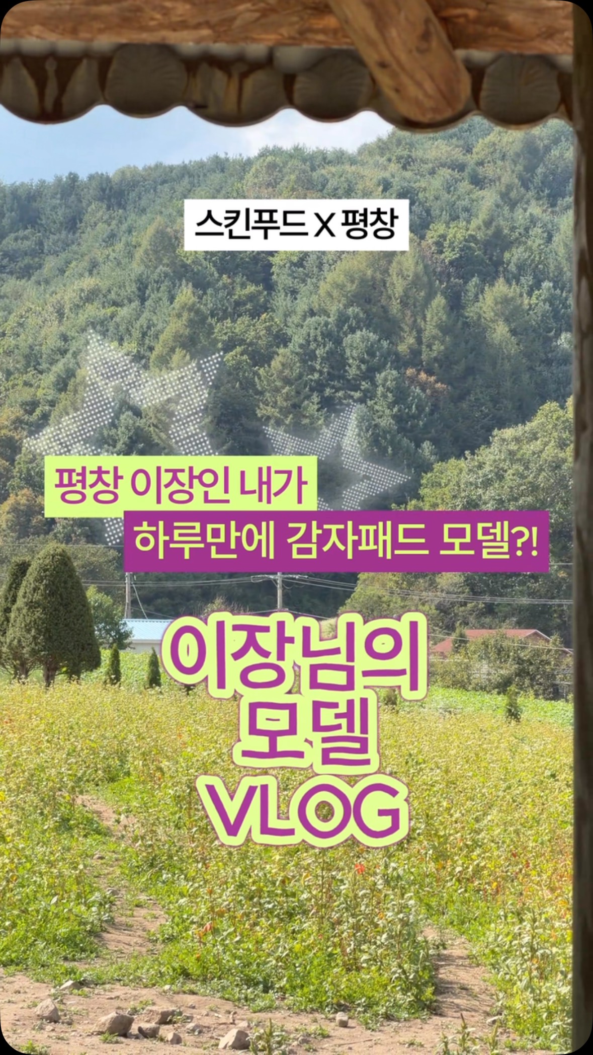 skinfood_official 品牌动态