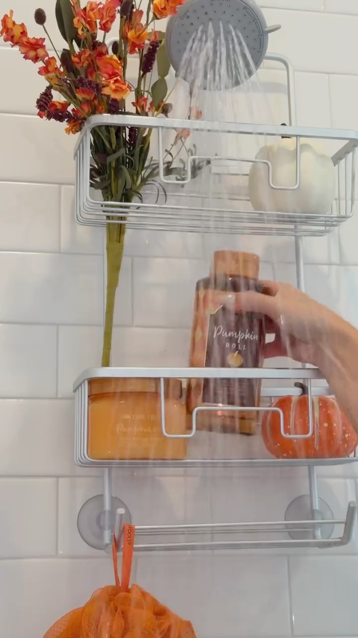 treehut 品牌动态